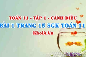 Bài 1 trang 15 SGK Toán 11 tập 1 Cánh Diều